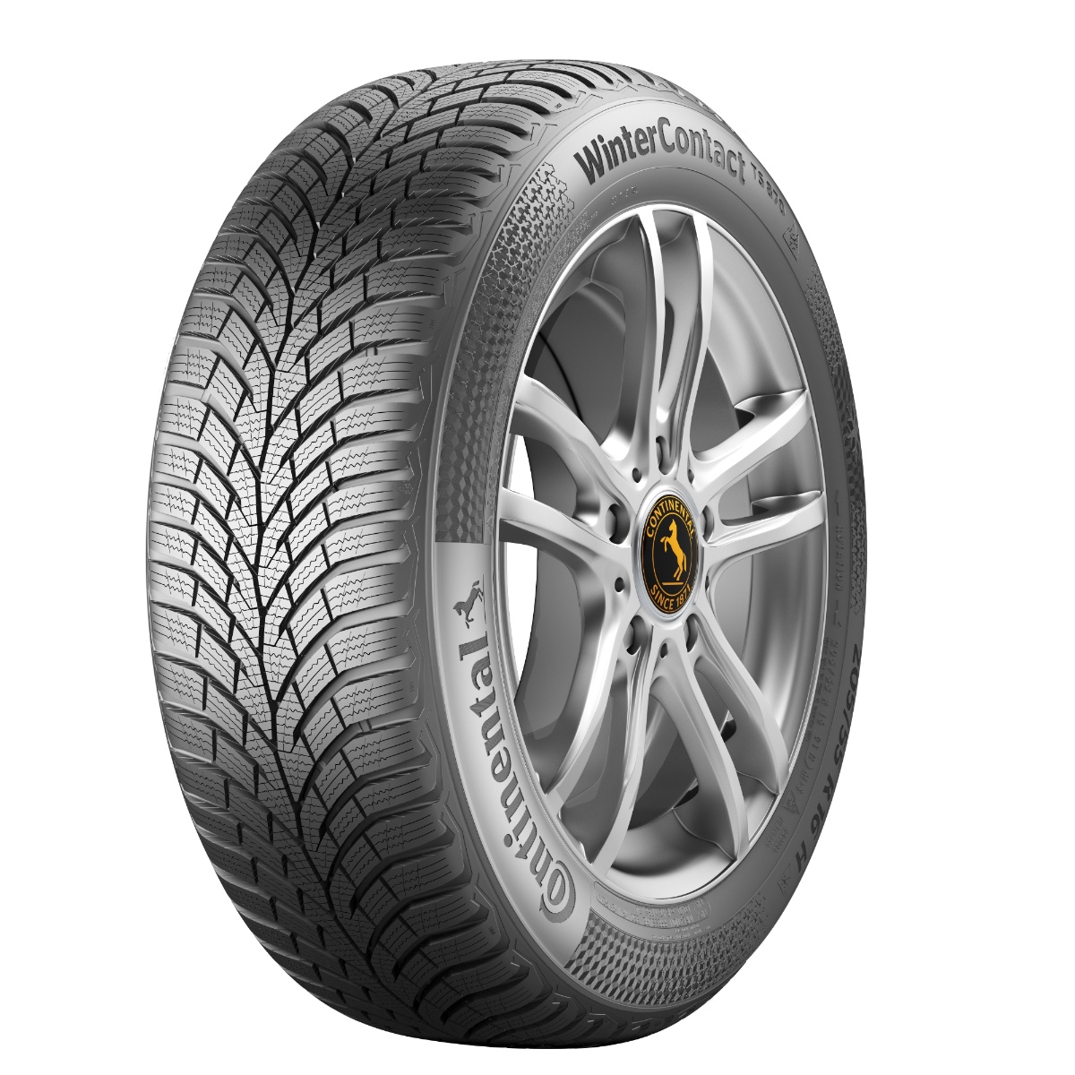 lamellrehv Continental Conti Winter Contact TS 870P